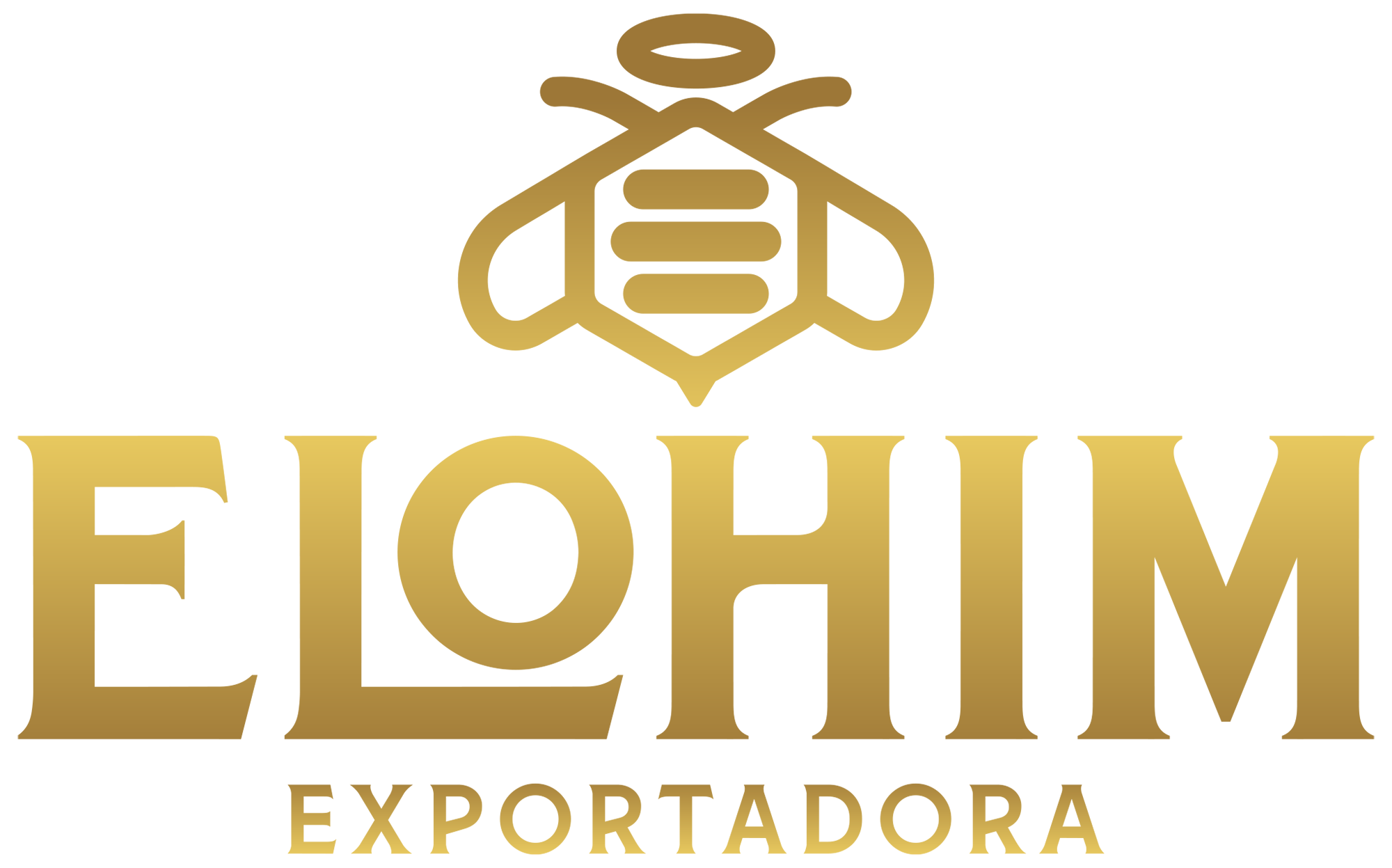 logo main